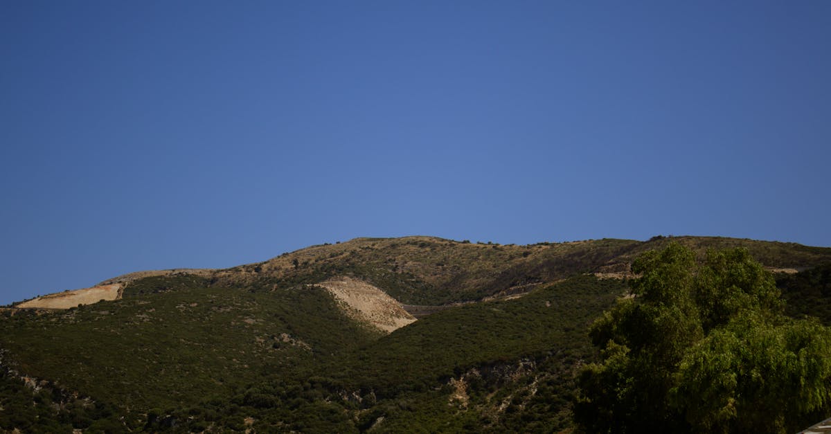 Boosting Immunity Through Chiropractic Treatments