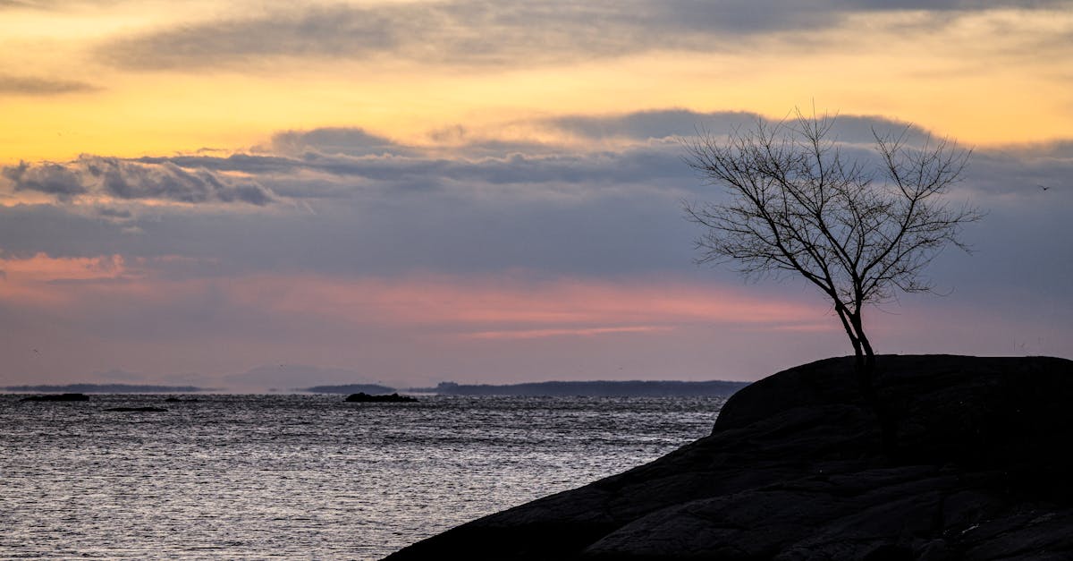 Chiropractic Care for Rehabilitating Whiplash Injuries