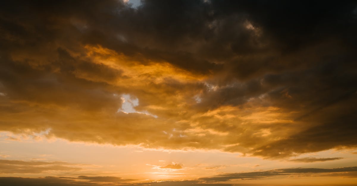 Chiropractic Techniques for Enhanced Athletic Performance