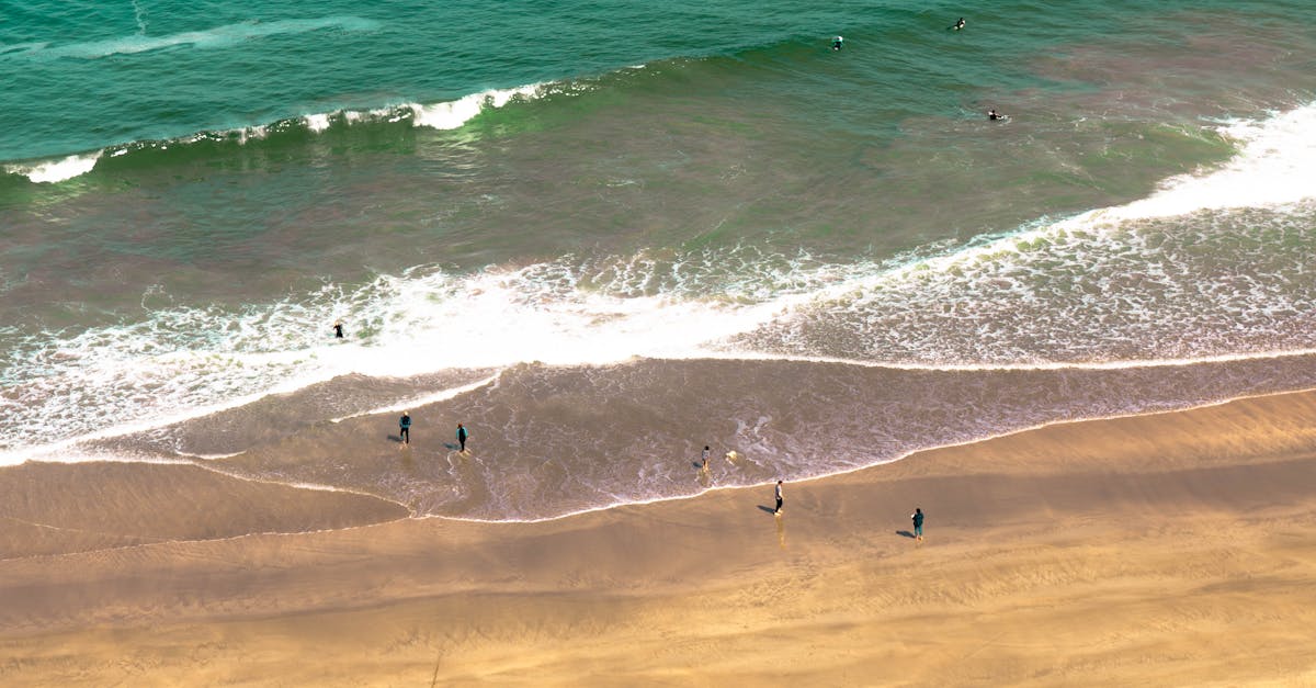 Comparing Manual Therapy and Instrument-Assisted Adjustments