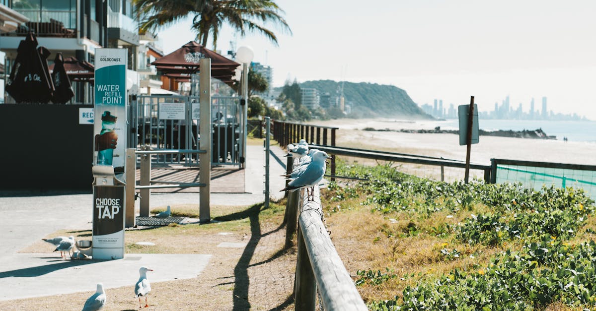 Effective Chiropractic Techniques for Targeted Pain Relief