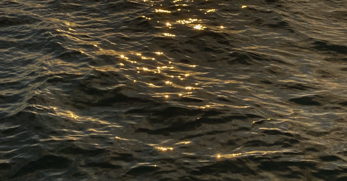 Enhancing Digestive Health Through Chiropractic Services