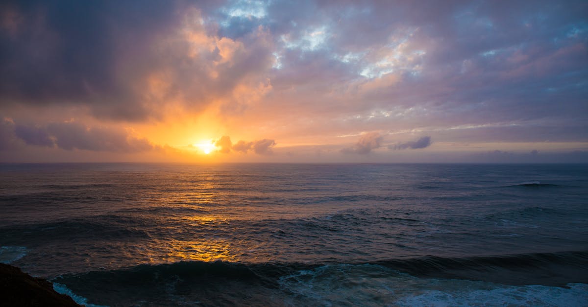 Evaluating Chiropractor Services Through Patient Experiences