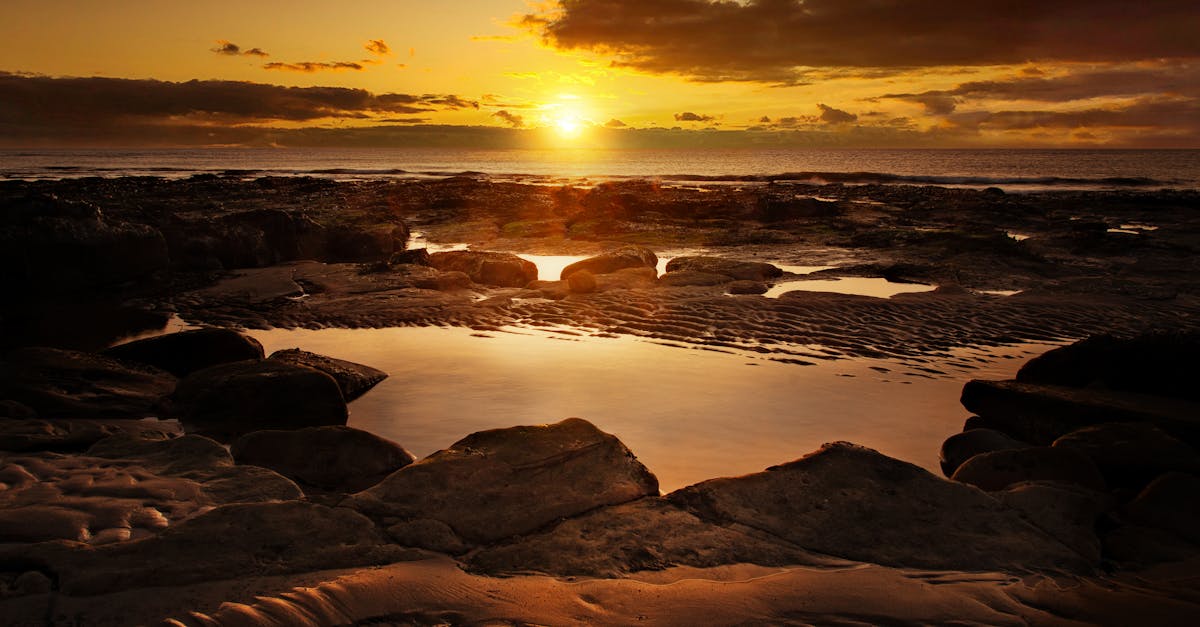 Exploring Aquatic Physiotherapy and Its Effectiveness