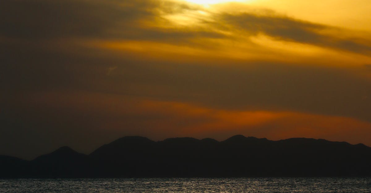 Exploring the Benefits of Paediatric Chiropractic Techniques