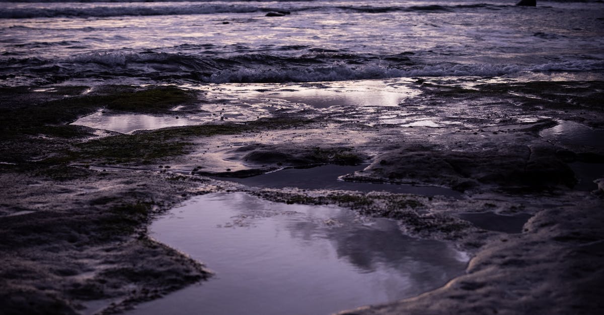 How Postural Correction Can Alleviate Chronic Pain