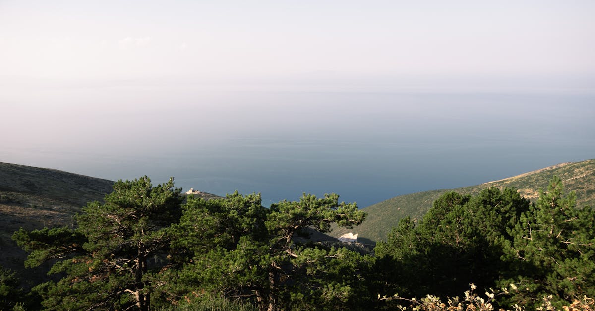 How Spinal Adjustments Can Alleviate Chronic Pain