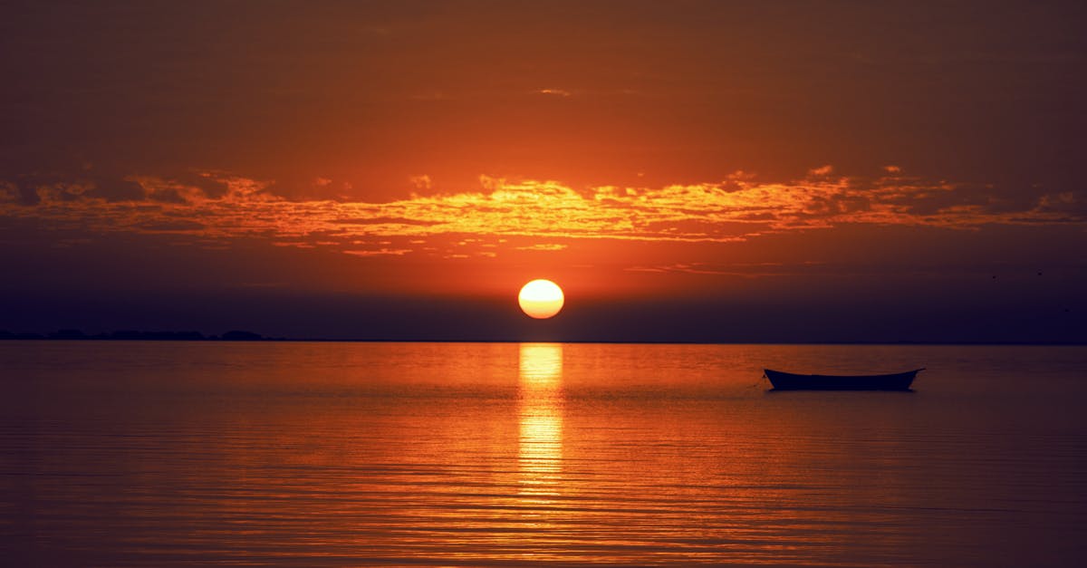 How to Prepare for Your Chiropractic Consultation