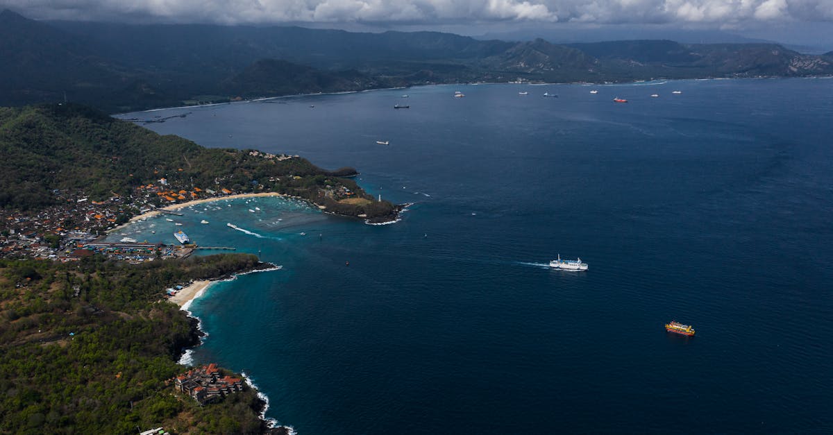 Meal Planning Tips for Chiropractic Patients