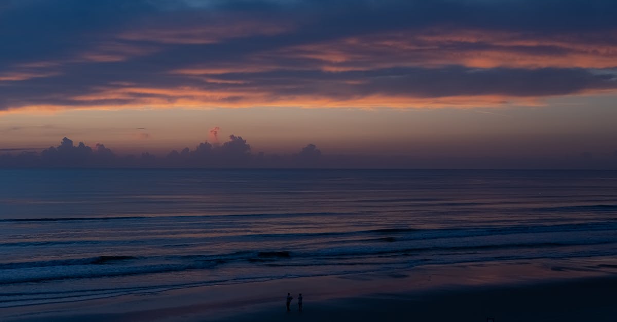 Navigating Online Reviews for Effective Chiropractor Selection