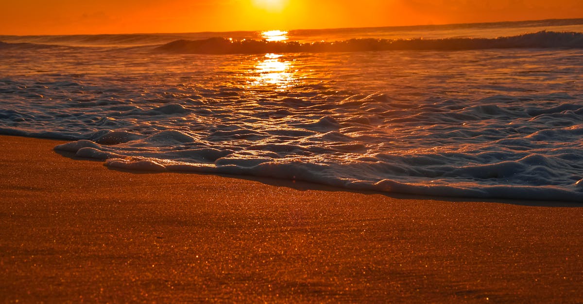 Navigating the Gold Coast: A Guide to Chiropractic Clinics in Accessible Locations