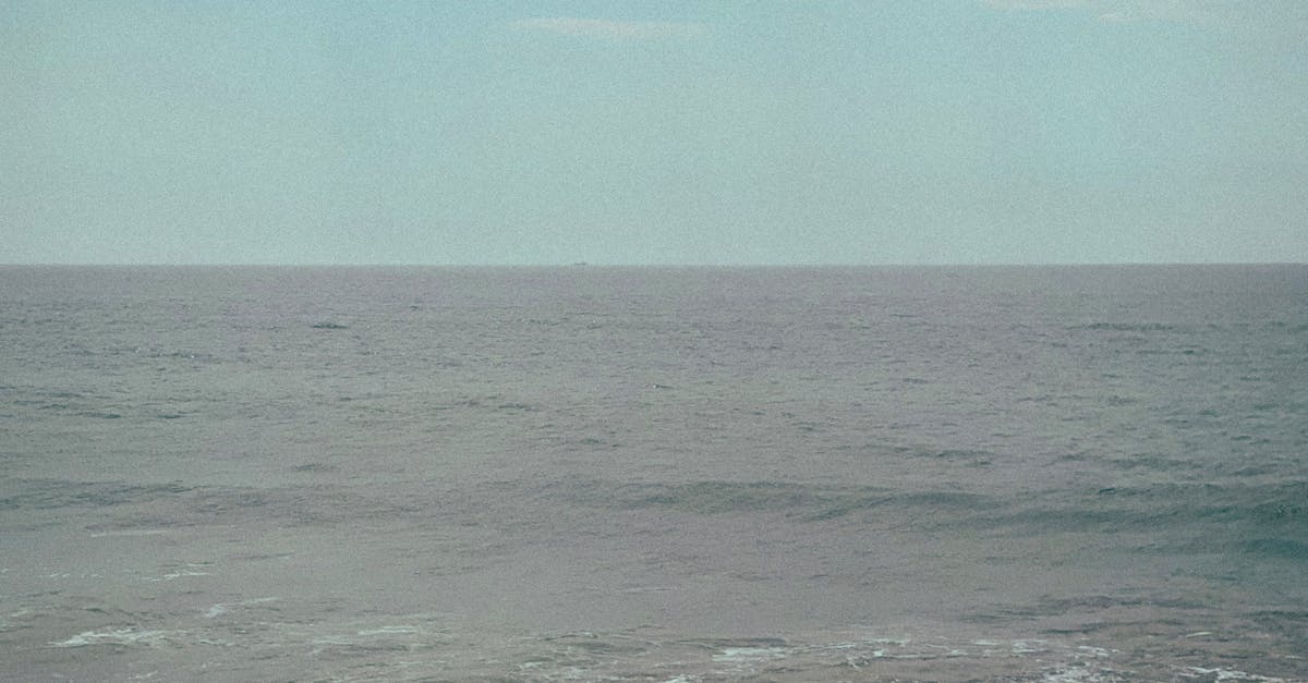 Promoting Flexibility through Targeted Chiropractic Adjustments