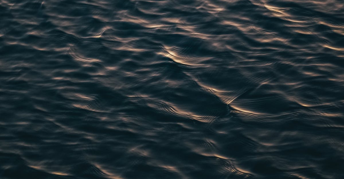 Recognising Red Flags During Your Initial Chiropractic Visit