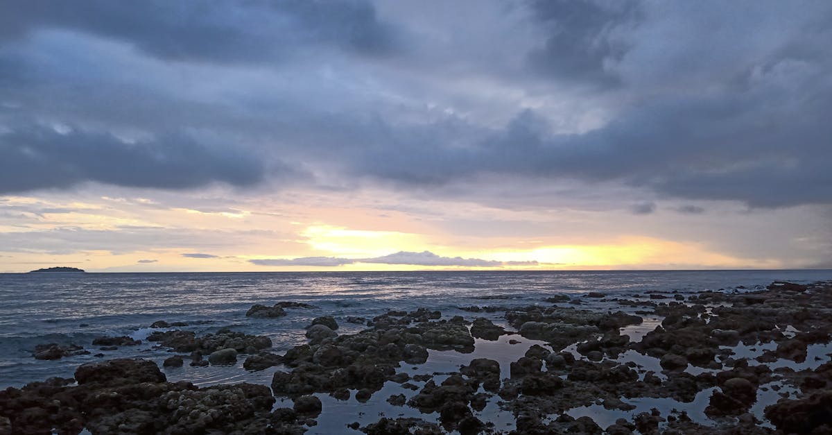 Reviews on Location: What Patients Say About Accessibility to Chiropractic Clinics