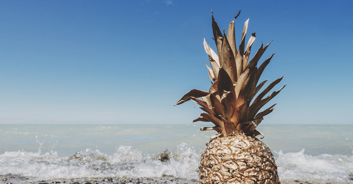 Superfoods to Complement Chiropractic Care