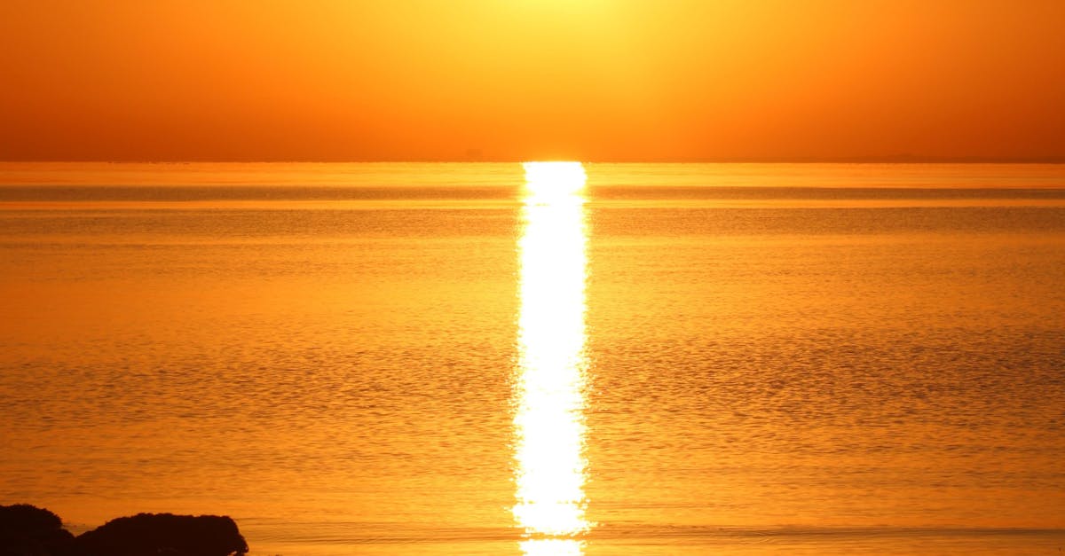 Tailored Exercise Programs to Enhance Rehabilitation Outcomes