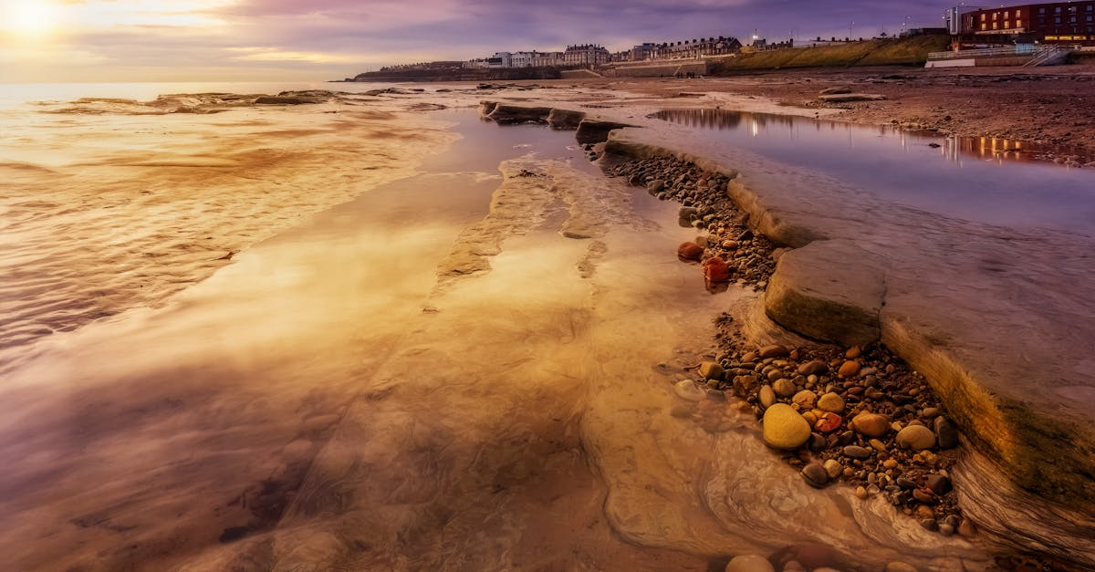 Techniques for Effective Postural Correction Strategies