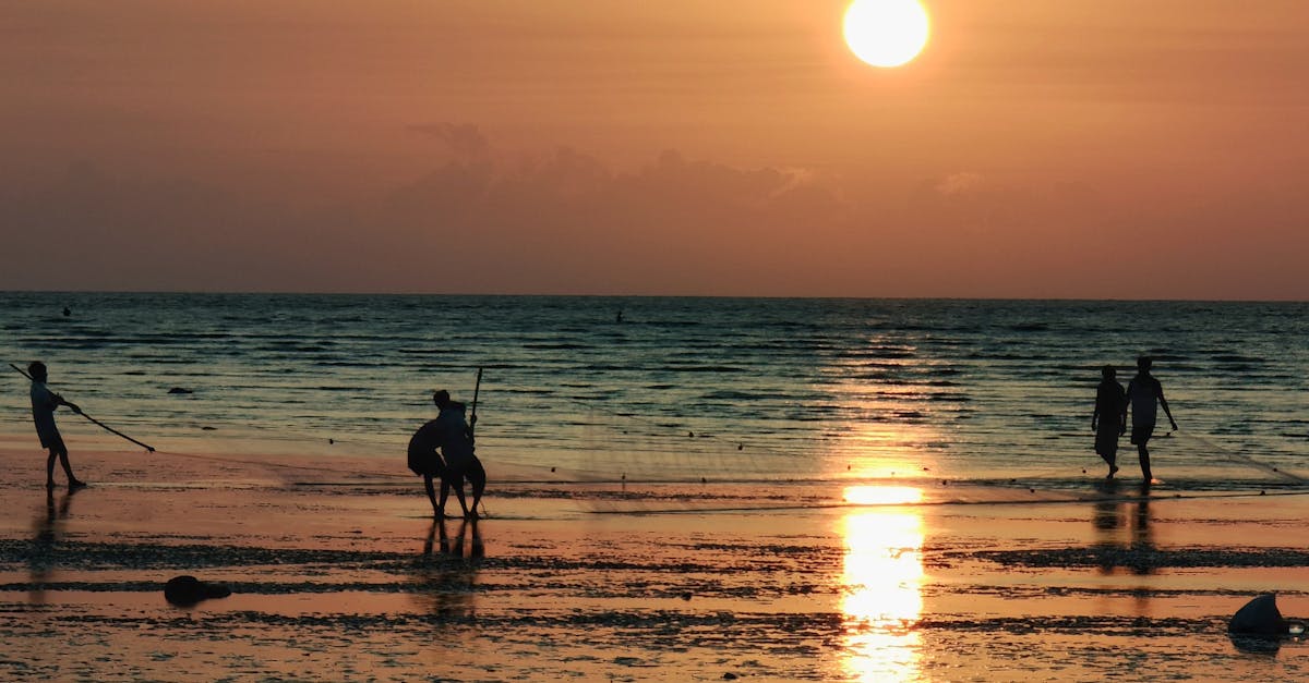 The Impact of Spinal Health on Overall Mobility