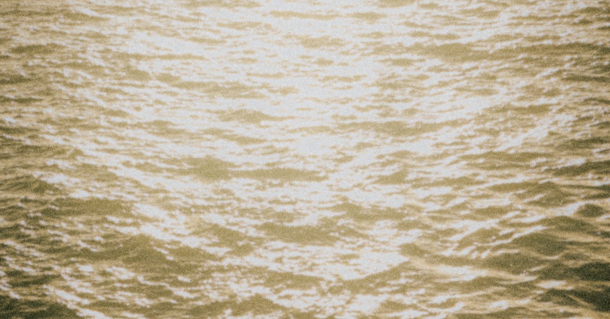 The Role of Chiropractic Care in Accelerating Injury Recovery