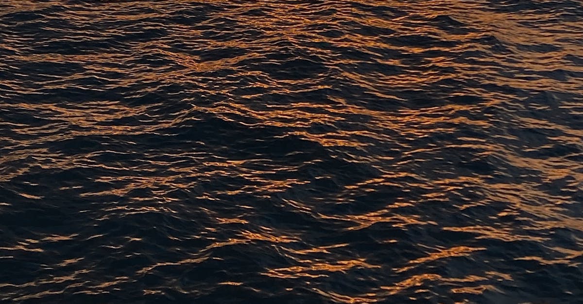 The Role of Chiropractic Care in Improving Flexibility