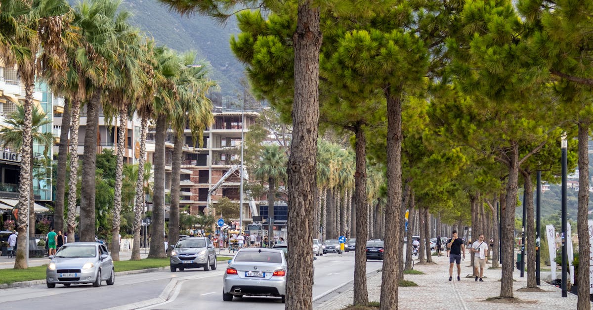 The Science Behind Spinal Adjustments and Nervous System Health