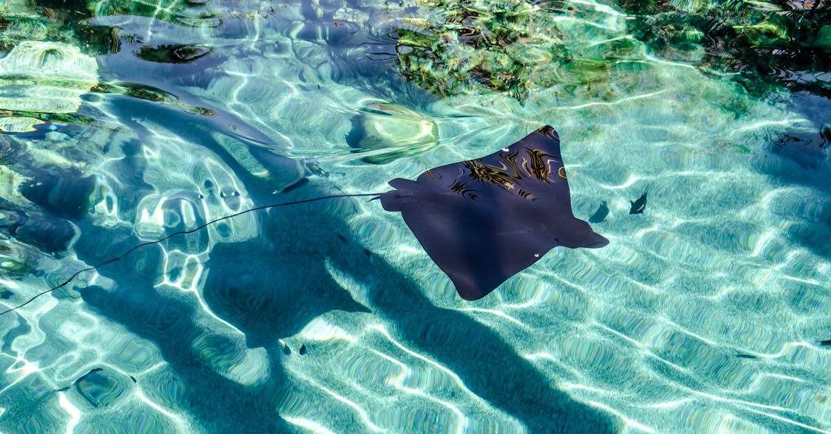 The Significance of Open Communication in Chiropractic Consultations