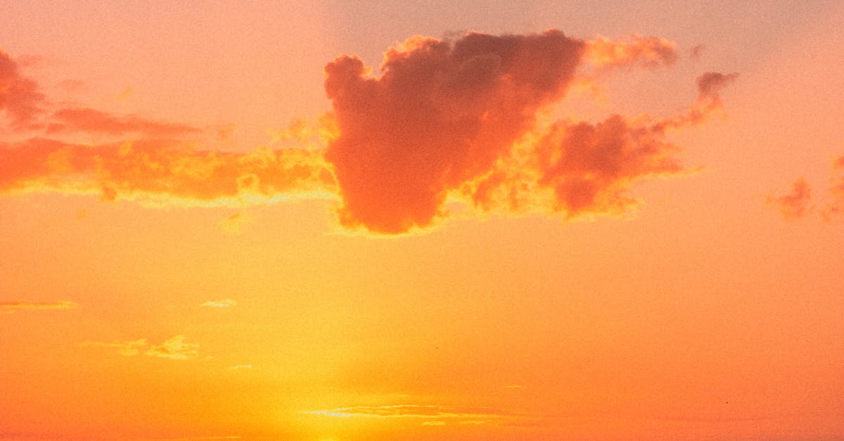 Understanding the Essential Qualifications Required for Chiropractors in Gold Coast