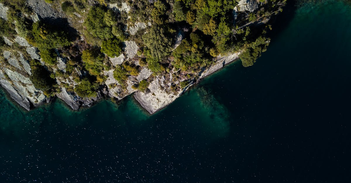 Understanding the Techniques Used in Chiropractic Massage