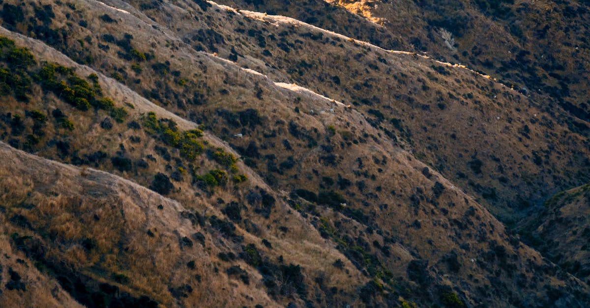 What Makes a Chiropractic Qualification Recognised in Australia?