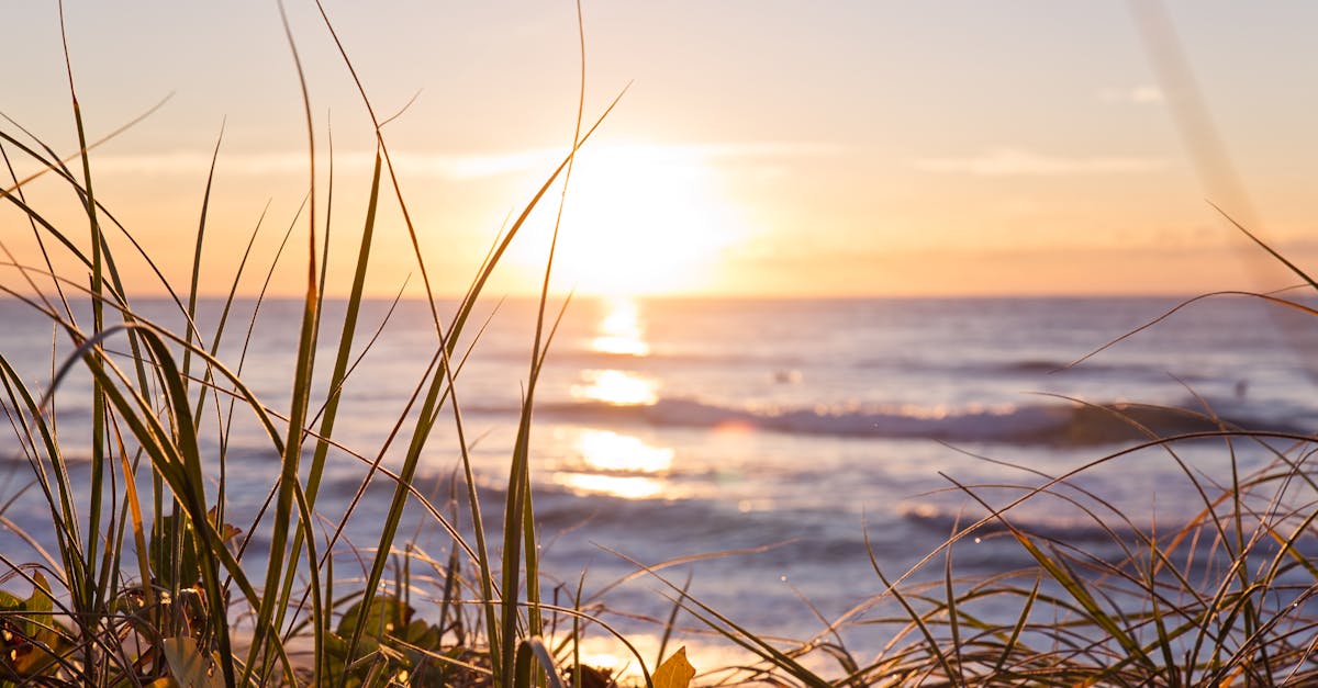 What to Expect During Your First Spinal Adjustment Appointment