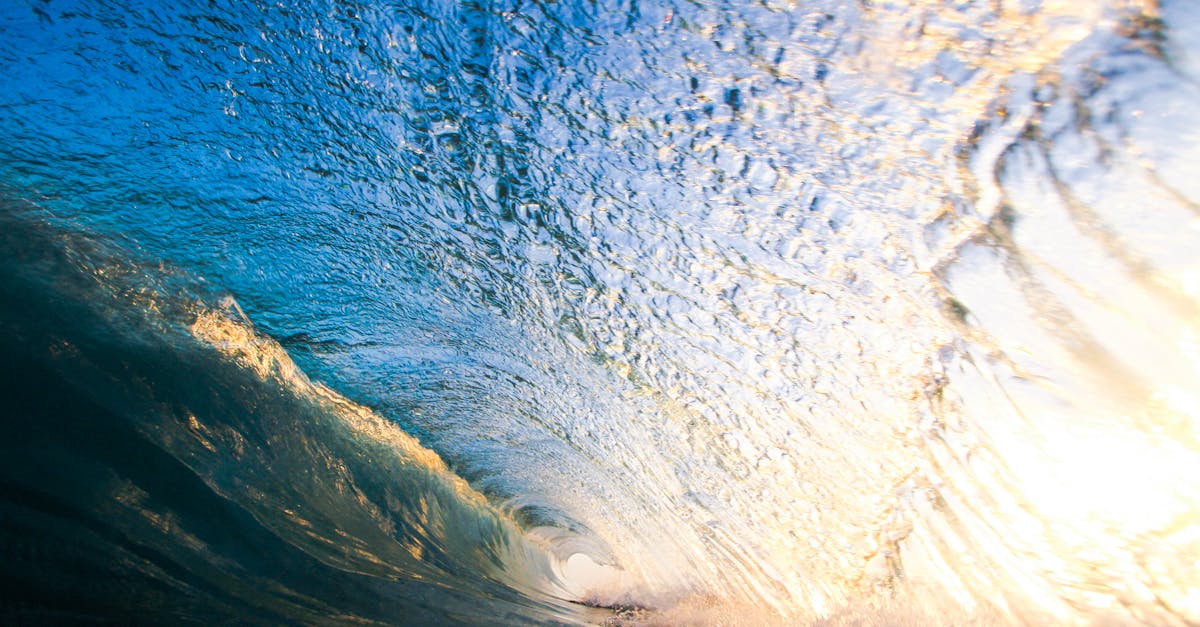 What To Look For in Patient Feedback When Choosing a Chiropractor